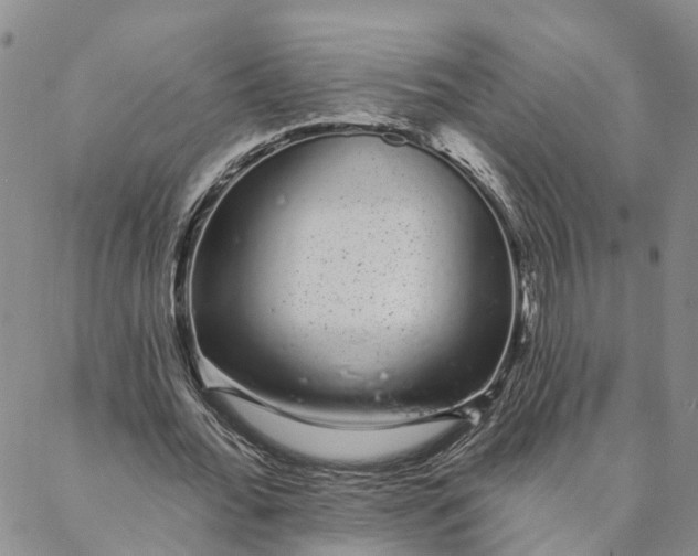 X0000088020676200705251052