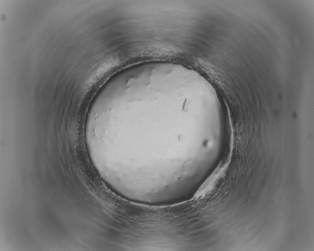 X0000088020679200705251052