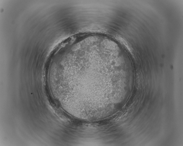 X0000088020680200705251052