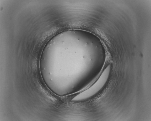 X0000088020681200705251052