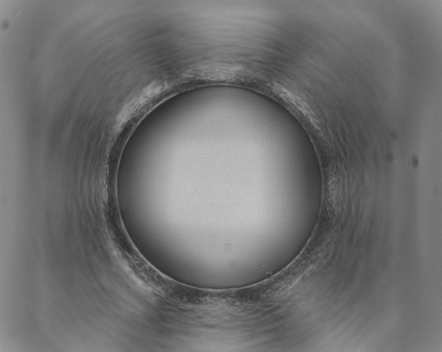 X0000088020682200705251052