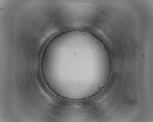 X0000088020683200705251052