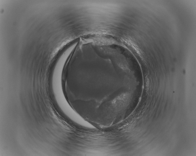 X0000088020684200705251052