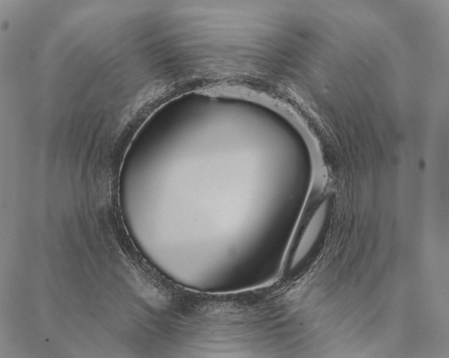 X0000088020685200705251052