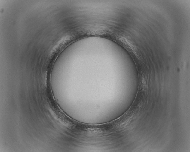 X0000088020686200705251052