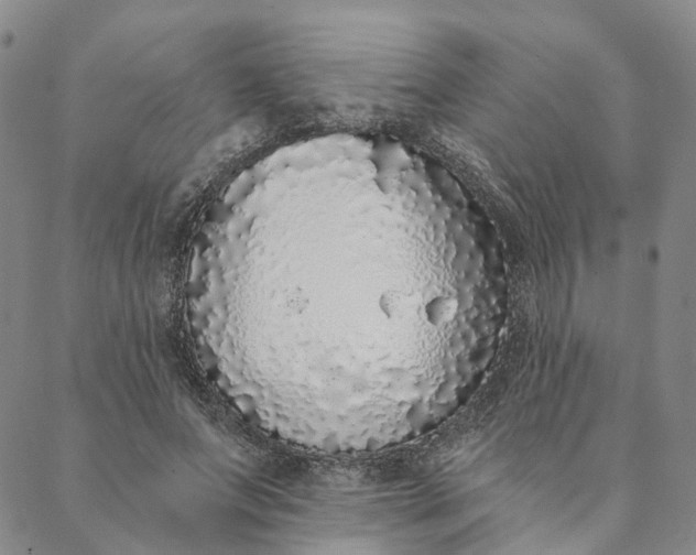 X0000088020687200705251052