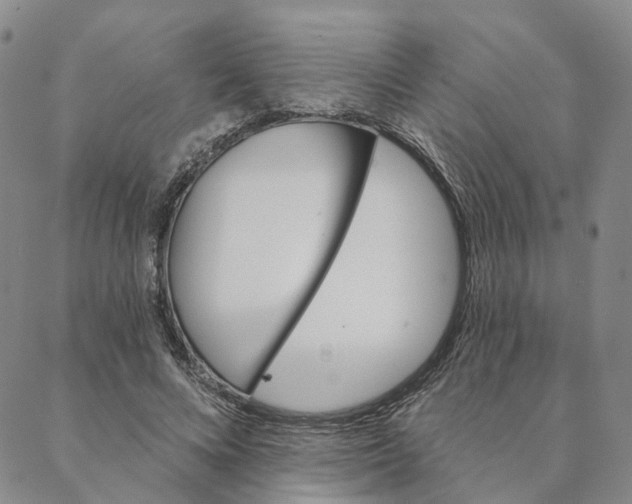 X0000088020688200705251052