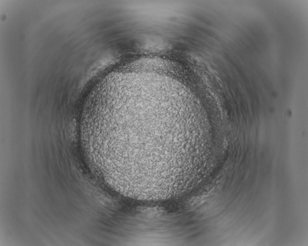 X0000088020689200705251052