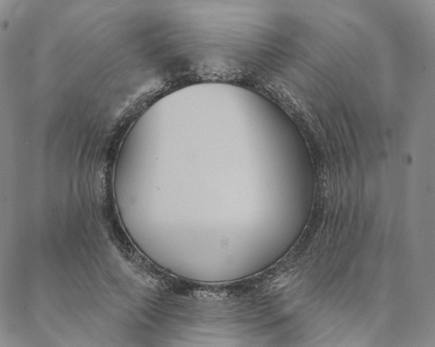 X0000088020690200705251052