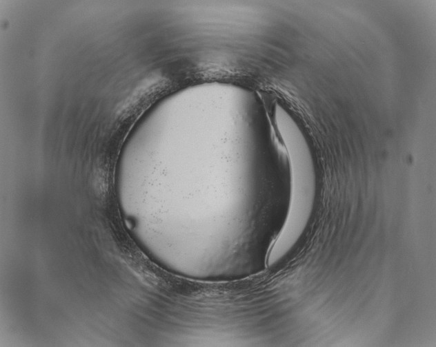 X0000088020691200705251052