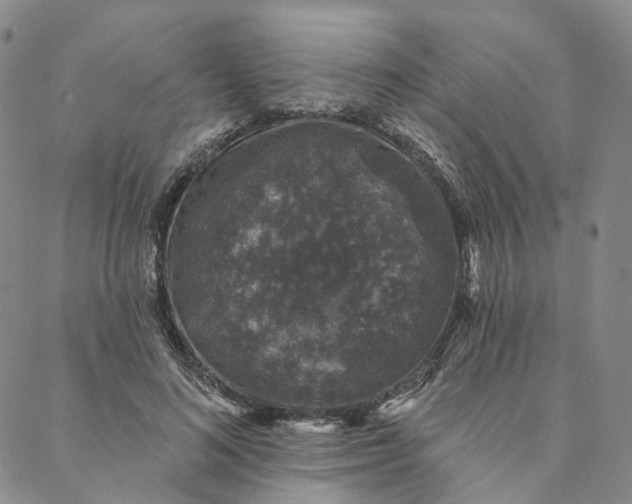 X0000088020692200705251052