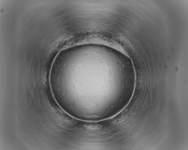 X0000088020693200705251052