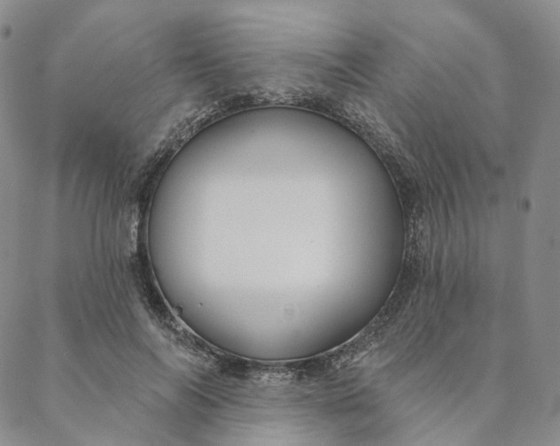 X0000088020694200705251052