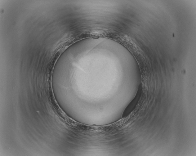 X0000088020696200705251052