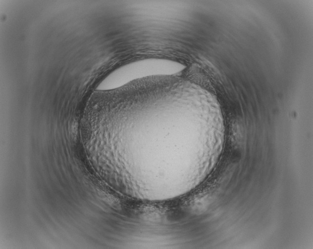 X0000088020697200705251052