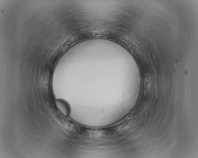 X0000088020698200705251052