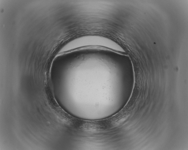 X0000088020699200705251052