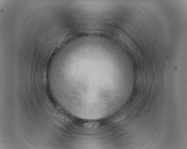 X0000088020700200705251052