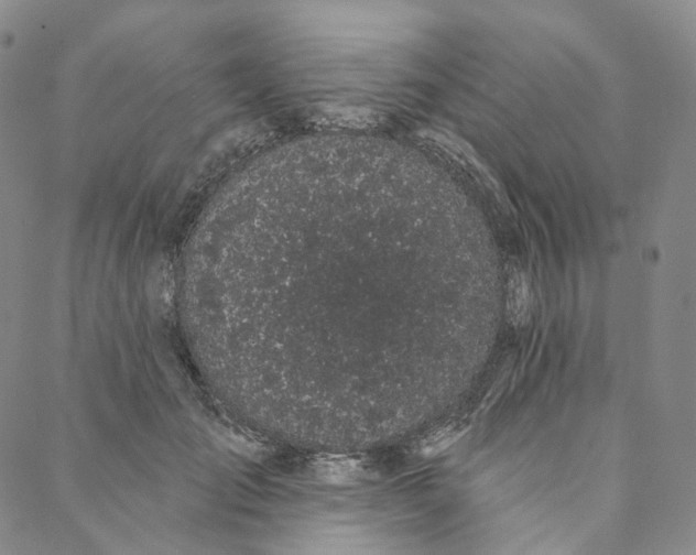 X0000088020701200705251052