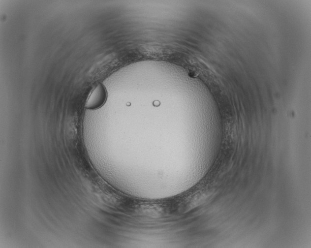 X0000088020702200705251052