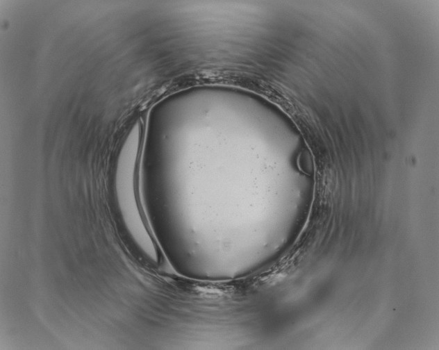 X0000088020703200705251052