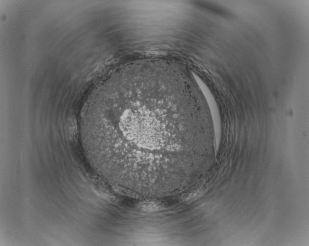 X0000088020704200705251052