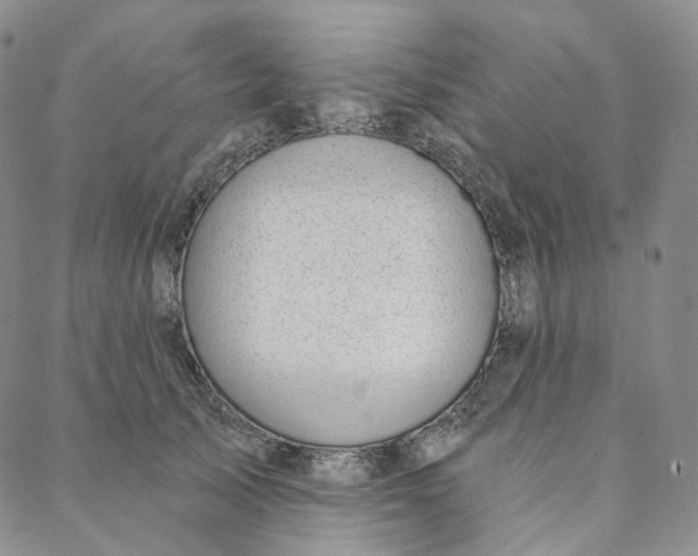 X0000088020705200705251052