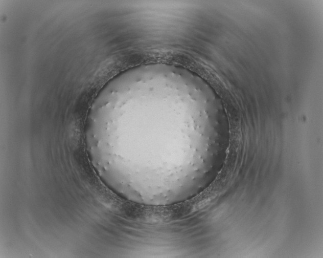 X0000088020707200705251052