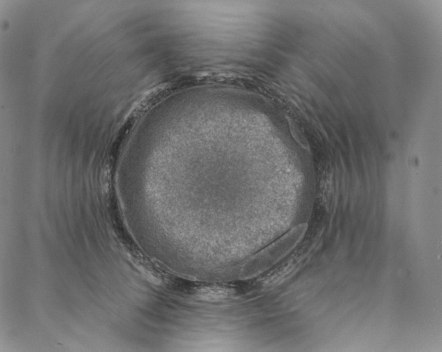 X0000088020708200705251052