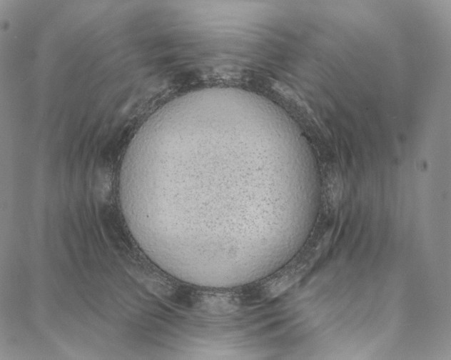 X0000088020709200705251052