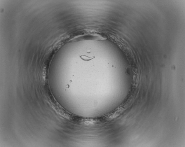 X0000088020710200705251052