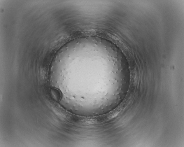 X0000088020711200705251052