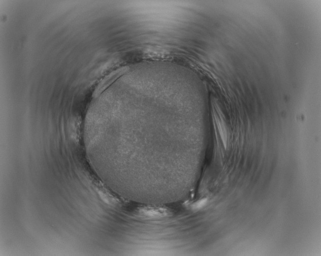 X0000088020712200705251052