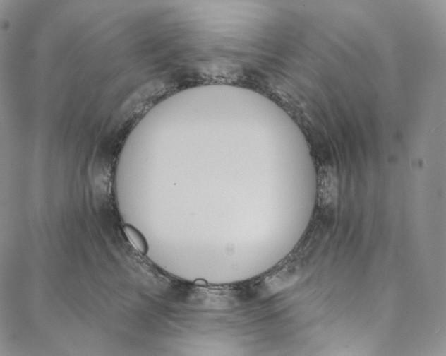 X0000088020713200705251052