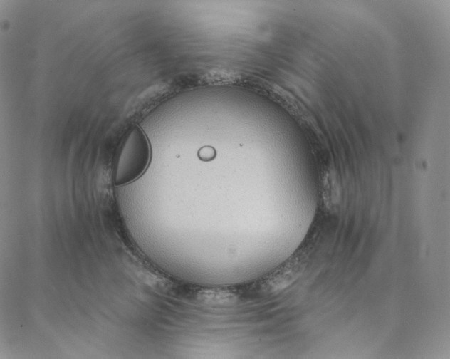 X0000088020714200705251052