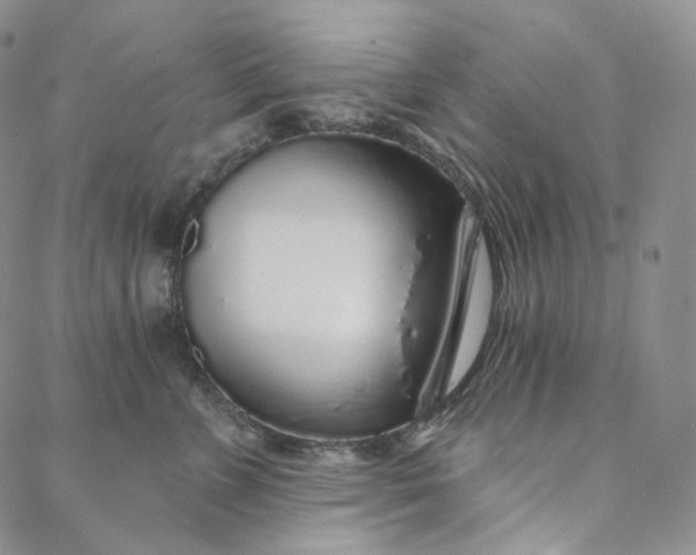 X0000088020715200705251052