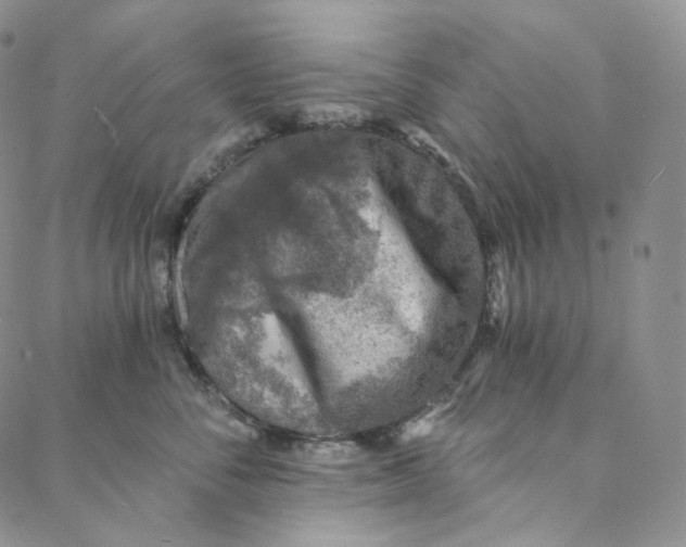 X0000088020716200705251051