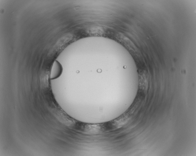 X0000088020717200705251051