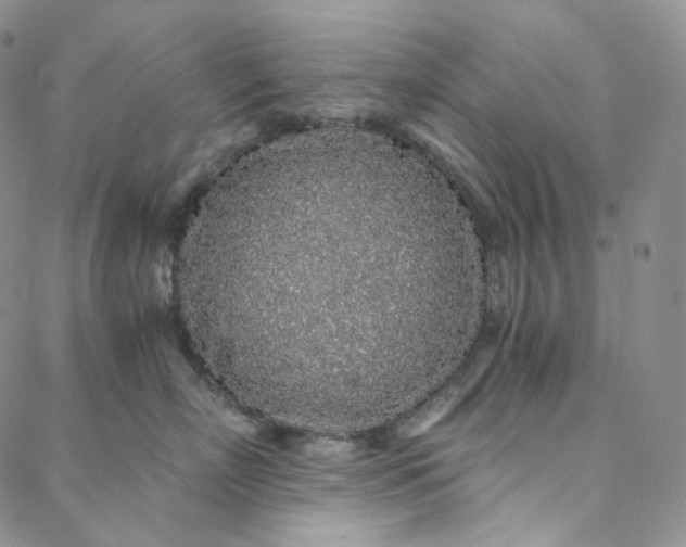 X0000088020718200705251051