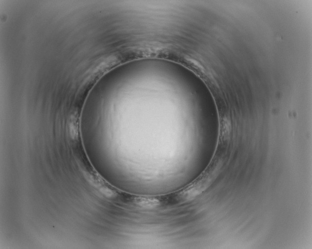 X0000088020719200705251051