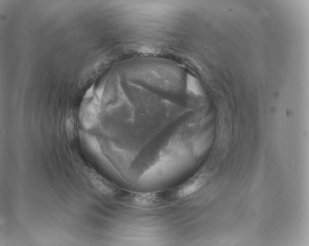 X0000088020720200705251051