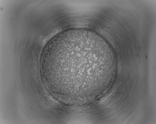 X0000088020721200705251051