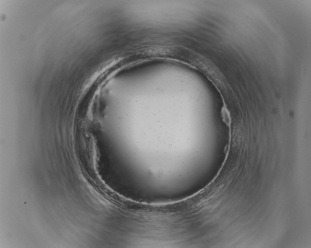 X0000088020722200705251051