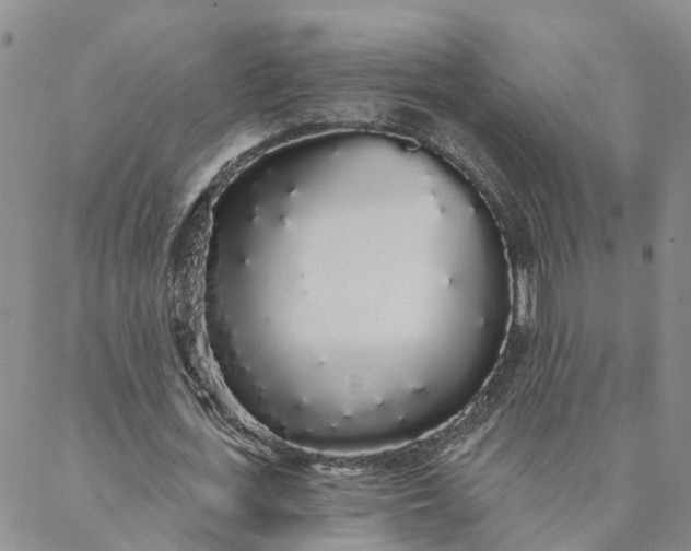 X0000088020723200705251051