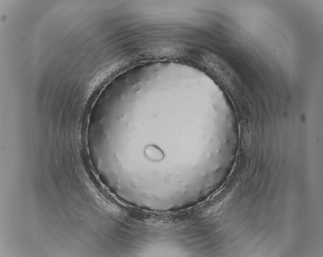 X0000088020725200705251051