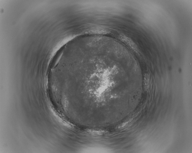 X0000088020726200705251051