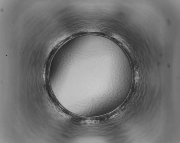 X0000088020727200705251051