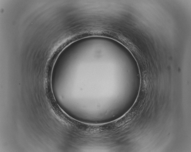 X0000088020728200705251051