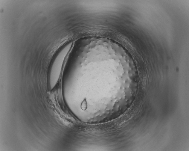 X0000088020729200705251051