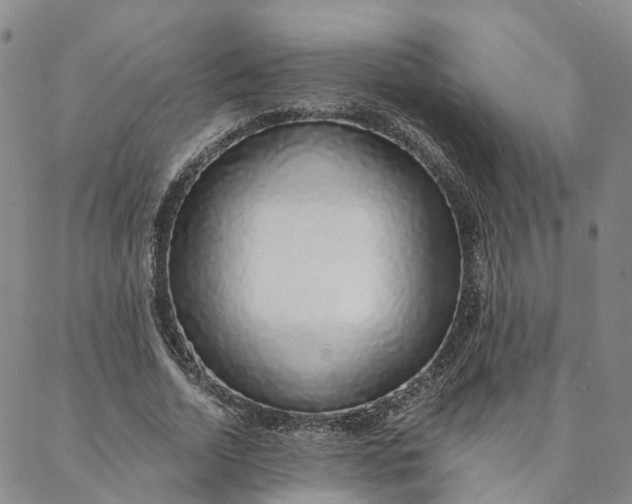 X0000088020730200705251051